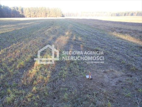 Działka budowlana na sprzedaż Rokity 1 246m2 Foto 4