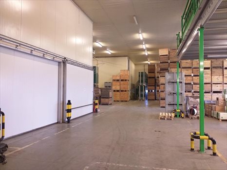 Lokal użytkowy na sprzedaż Białobrzegi 2 000m2 Foto 10