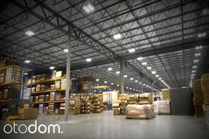 Lokal użytkowy na wynajem Sosnowiec, Dańdówka 6 000m2 Foto 4
