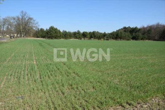 Działka budowlana na sprzedaż Machowino, Słupsk, Machowino 7 500m2 Foto 8