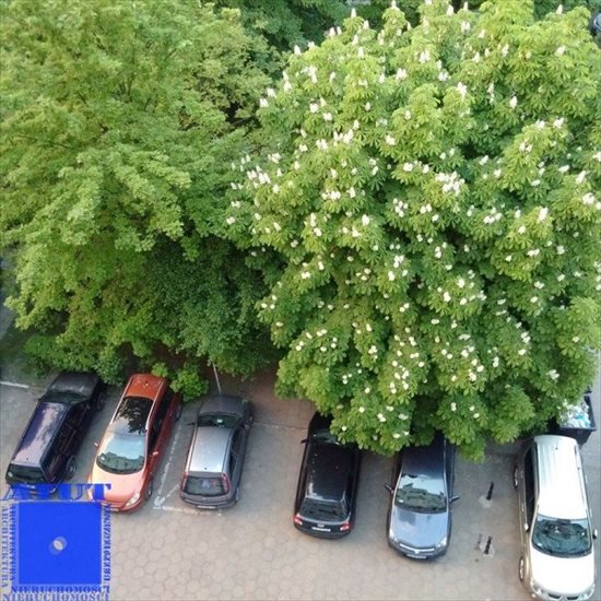 Mieszkanie dwupokojowe na wynajem Gliwice, Centrum, Ksawerego Dunikowskiego 39m2 Foto 11