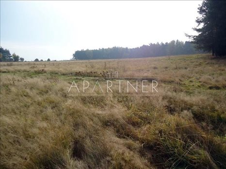 Działka budowlana na sprzedaż Łódź 10 976m2 Foto 3