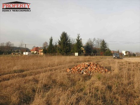 Działka budowlana na sprzedaż Zofiówka, ok. Zofiówki 1 256m2 Foto 2
