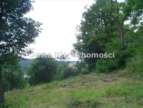 Działka budowlana na sprzedaż Wałbrzych, Stary Glinik 449m2 Foto 6