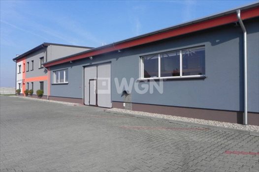 Lokal użytkowy na sprzedaż Ostrów Wielkopolski, Wysocko Wielkie, Wylotowa 1 234m2 Foto 4