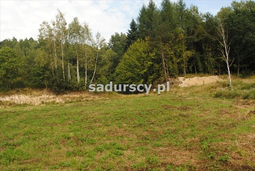 Działka budowlana pod dzierżawę Gosprzydowa 50 000m2 Foto 7