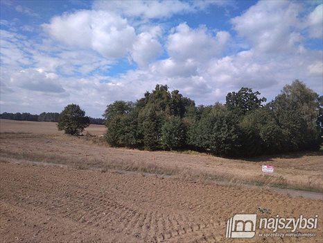 Działka siedliskowa na sprzedaż Kolincz, obrzeża 4 900m2 Foto 3