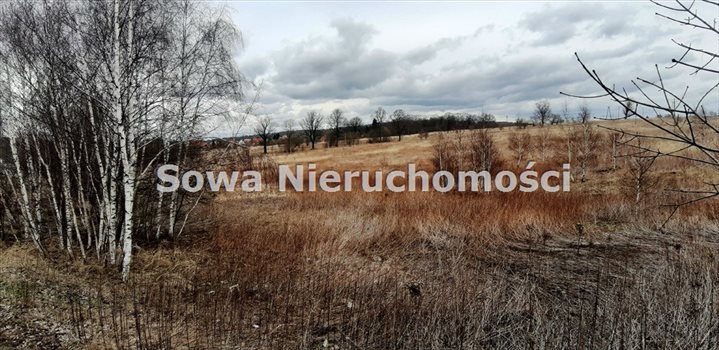 Działka inna na sprzedaż Wałbrzych, Biały Kamień 8 563m2 Foto 3