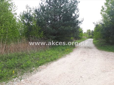 Działka budowlana na sprzedaż Gabryelin 1 004m2 Foto 1