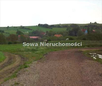 Działka budowlana na sprzedaż Wałbrzych, Poniatów 1 300m2 Foto 3