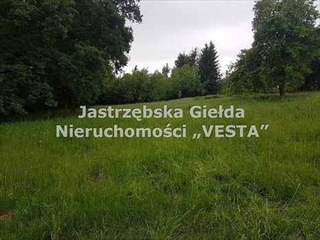 Działka inna na sprzedaż Jastrzębie-Zdrój 1 410m2 Foto 1