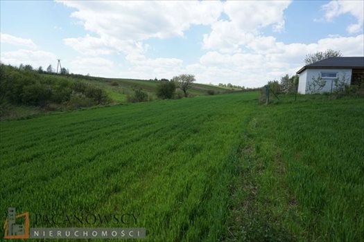 Działka budowlana na sprzedaż Cianowice Duże 4 006m2 Foto 6