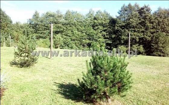 Działka rekreacyjna na sprzedaż Bakałarzewo 2 329m2 Foto 2