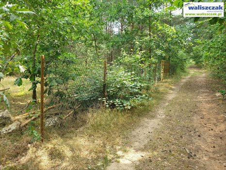 Działka budowlana na sprzedaż Szarbsko 3 600m2 Foto 3