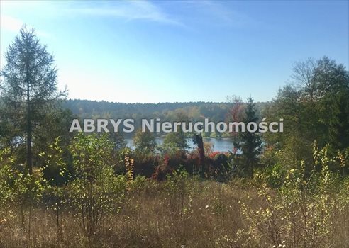 Działka budowlana na sprzedaż Tumiany 3 000m2 Foto 1