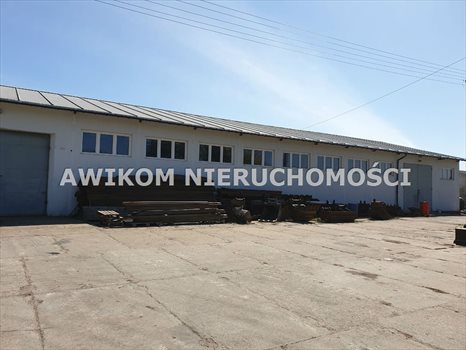 Lokal użytkowy na sprzedaż Teresin 6 975m2 Foto 8