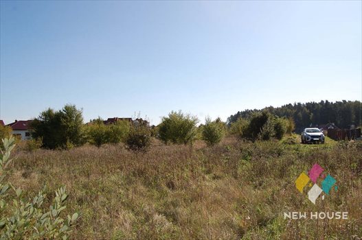 Działka budowlana na sprzedaż Wójtowo, Jarzębinowa 1 266m2 Foto 6
