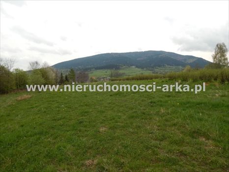 Działka budowlana na sprzedaż Jurków 1 600m2 Foto 2