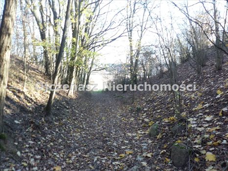 Lokal użytkowy na sprzedaż Gościeradz 127 980m2 Foto 6