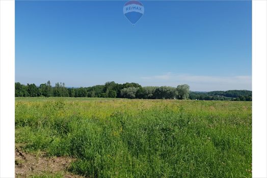 Działka budowlana na sprzedaż Grodziec 1 220m2 Foto 4