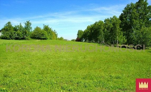 Działka komercyjna na sprzedaż Rybnik 11 783m2 Foto 11