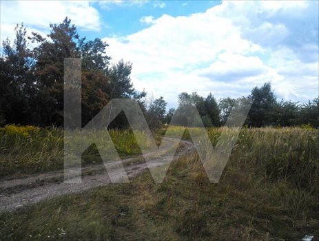 Działka przemysłowo-handlowa na sprzedaż Racibórz 9 502m2 Foto 4