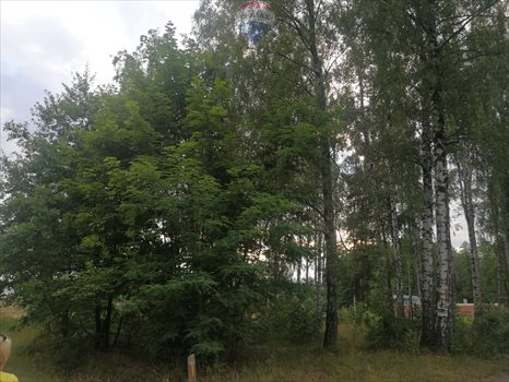 Działka budowlana na sprzedaż Dąbrówka-Strumiany 1 972m2 Foto 11