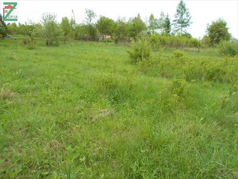 Działka budowlana na sprzedaż RABKA-ZDRÓJ 1 200m2 Foto 1
