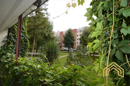 Mieszkanie trzypokojowe na wynajem Rzeszów, Sportowa 54m2 Foto 3