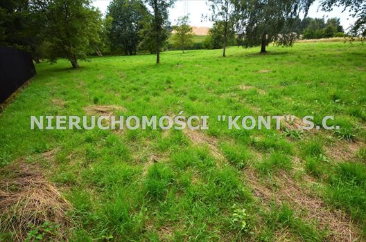 Działka budowlana na sprzedaż Giebułtów, Graniczna 2 000m2 Foto 1