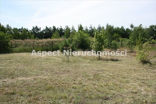 Działka budowlana na sprzedaż Matyldów 807m2 Foto 4