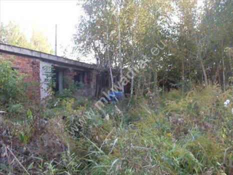 Lokal użytkowy na sprzedaż Domaniew 850m2 Foto 9