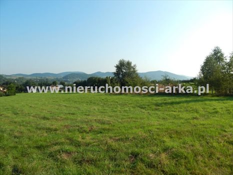 Działka budowlana na sprzedaż Dobra 3 100m2 Foto 1