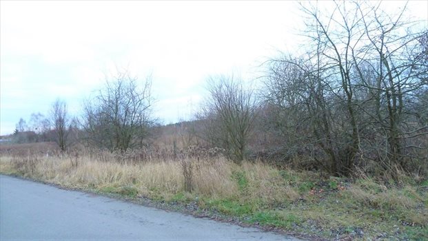 Działka komercyjna na sprzedaż Gorzów Wielkopolski, Karnin 872m2 Foto 3