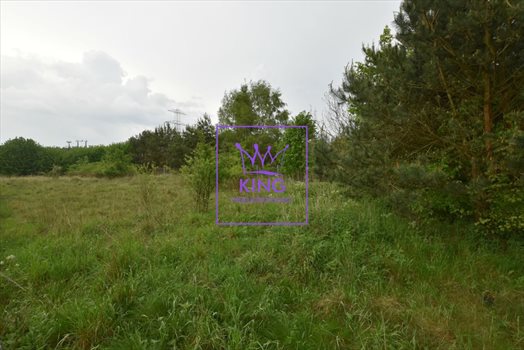 Działka budowlana na sprzedaż Szczecin, Wołczkowo 735m2 Foto 4