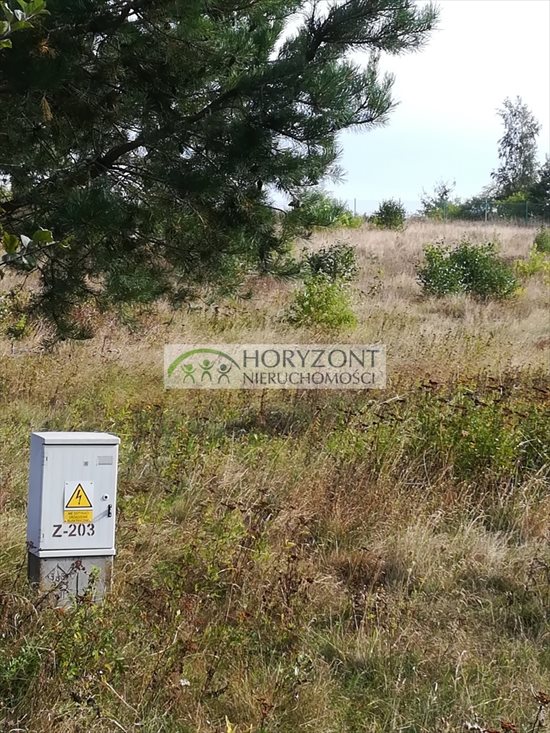 Działka budowlana na sprzedaż Bojano 3 932m2 Foto 6
