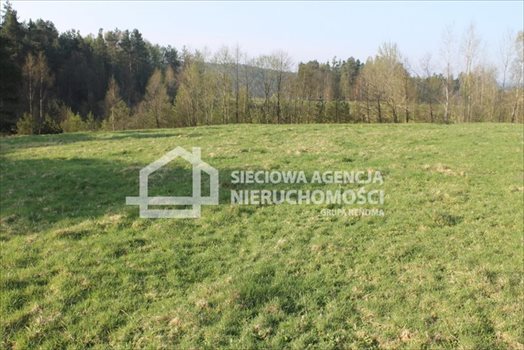 Działka budowlana na sprzedaż Lubowidz 1 760m2 Foto 7