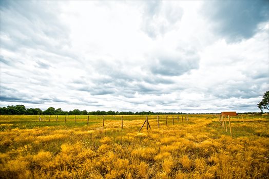 Działka budowlana na sprzedaż Gościnowo, Działki budowlane pod lasem 472m2 Foto 5