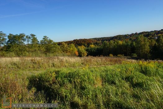 Działka budowlana na sprzedaż Wierzchowie 1 200m2 Foto 7