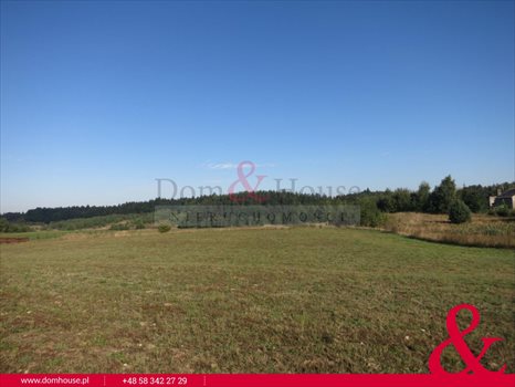 Działka budowlana na sprzedaż Nowa Wieś Przywidzka, Piastowska 3 002m2 Foto 4