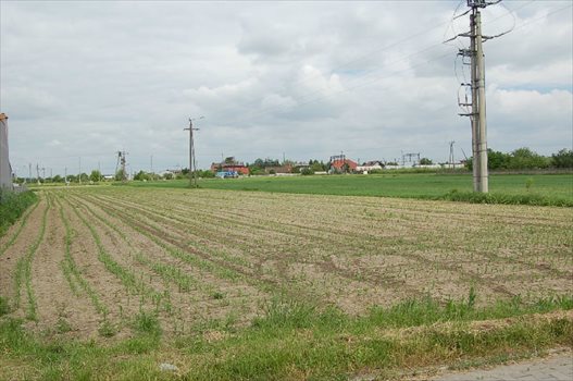 Działka budowlana na sprzedaż Ostrów Wielkopolski, Gorzycka Droga, Olszowa 1 337m2 Foto 3