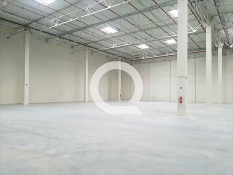 Lokal użytkowy na wynajem Elbląg 1 620m2 Foto 3