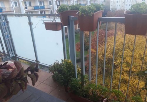 Mieszkanie trzypokojowe na sprzedaż Poznań, Stare Miasto, os. Powstańców Warszawy 61m2 Foto 11