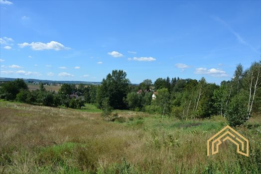 Działka budowlana na sprzedaż Nosówka 2 600m2 Foto 1