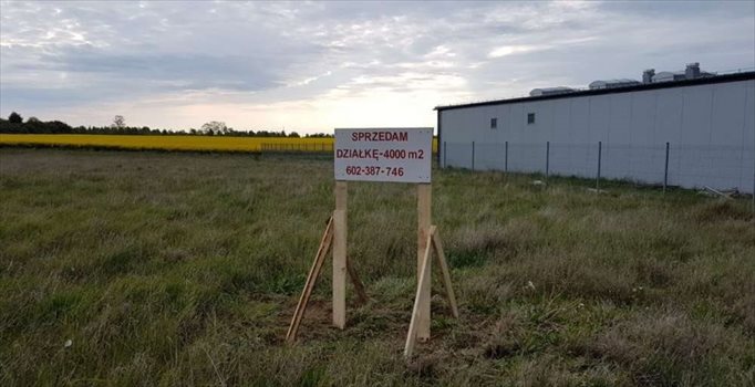 Działka budowlana na sprzedaż Łebcz 4 000m2 Foto 2