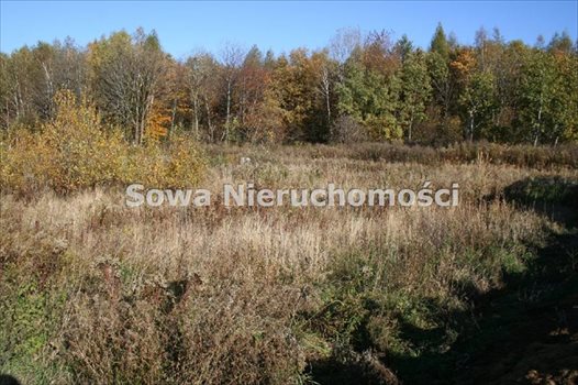 Działka inna na sprzedaż Wałbrzych, Poniatów 1 285m2 Foto 7