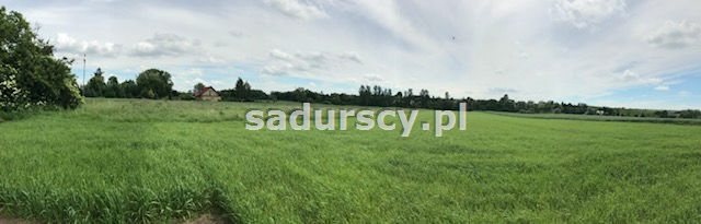 Działka inna na sprzedaż Januszowice 7 200m2 Foto 4