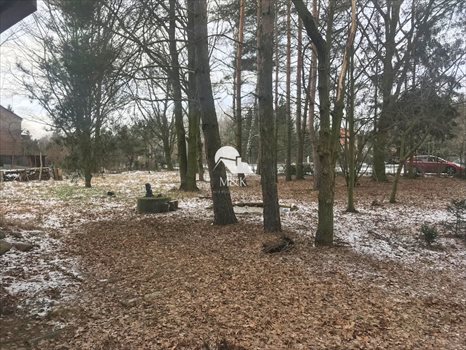 Działka inwestycyjna na sprzedaż Kanie 2 388m2 Foto 2