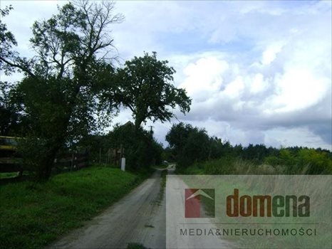 Działka budowlana na sprzedaż Kolonia Kęszyca 1 000m2 Foto 7
