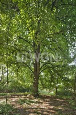 Działka inwestycyjna na sprzedaż Wrocław, Fabryczna, Jarnołtowska 28 143m2 Foto 6